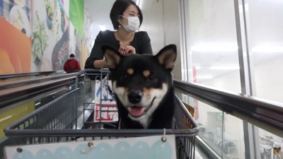 ホームセンターにやってきました