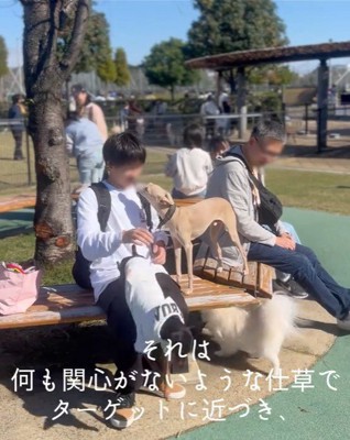 スキップ君の割り込みの手口4