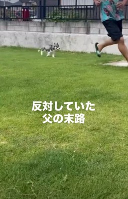 犬を飼うのは反対だったパパが…