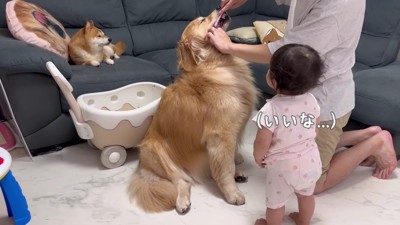 歯磨きするおからちゃん