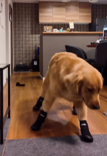 「足裏がおかしい…」