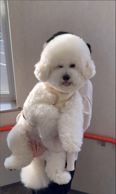 ぽむくんの成長6