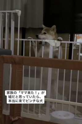 止まらないイタズラ