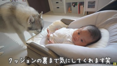 「裏もキレイにしなきゃ」