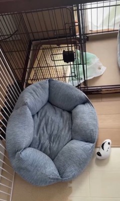 イタズラを誤魔化す小春ちゃん&つむぎちゃん9