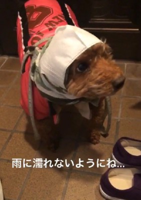 実用性はバツグン!?