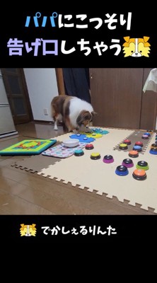 『ヨーグルト』と書かれたボタンを探す犬