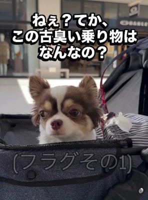 ちょっぴり怖いときもあるけど…