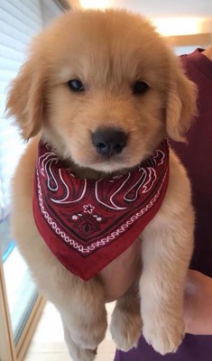 かーる君の成長記録2