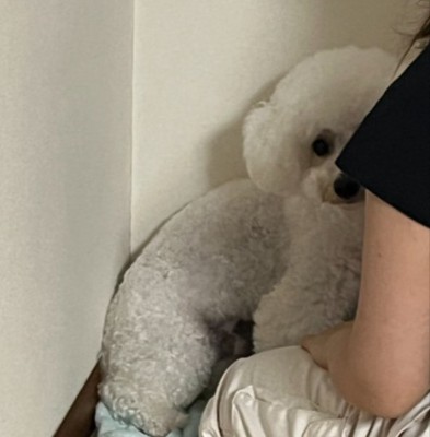 復讐を決意した