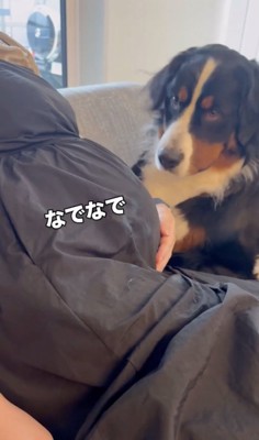 そっと見守ります