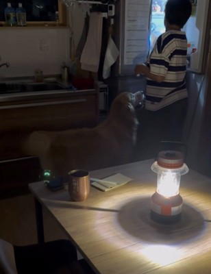 冷蔵庫の前にいる犬と人