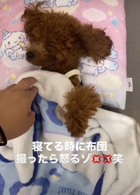 人間のようなスタイル