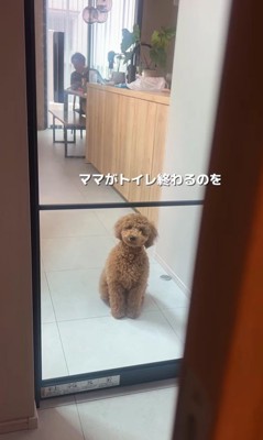 ママさんを待つぷぅと君5