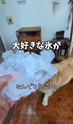 大きな氷のかたまり