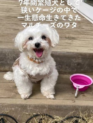 笑顔あふれる姿に変貌!!