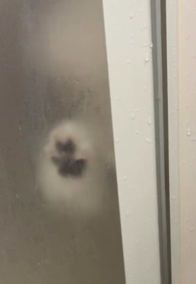 前足をかけると…