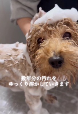 徐々に心も軽くなる…