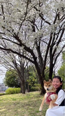 「飼わなきゃ良かった」