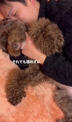 それでも諦めず…