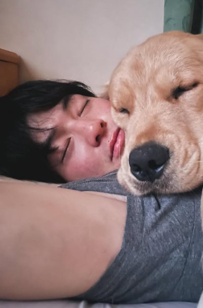 飼い主と寝る大型犬