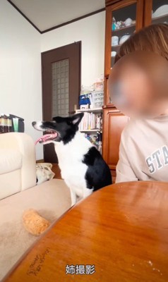 5日ぶりの再会…