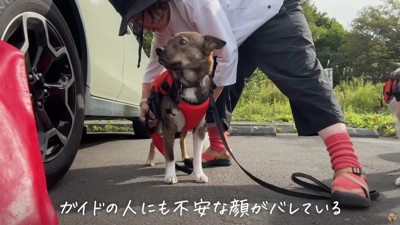 初めは怖かったけど…