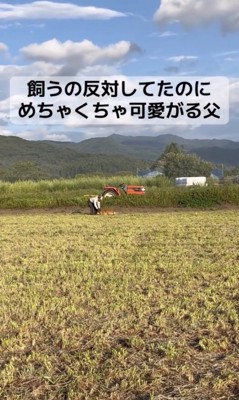 ナデナデ大満喫