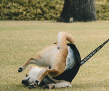 あられもない姿に♡