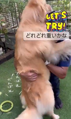 そら君と植木屋さんのふれあい9