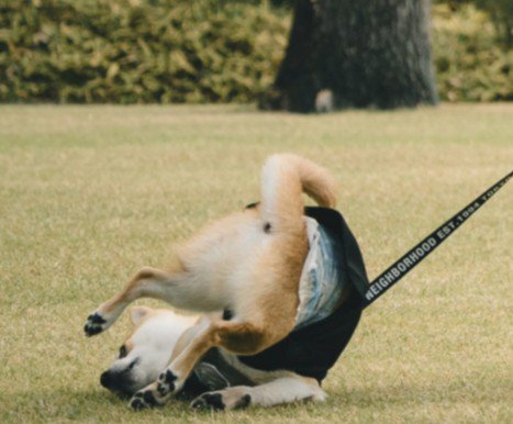 お尻を丸出しにして…