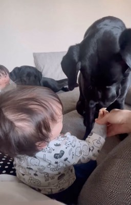 赤ちゃんの手を口元に近づける