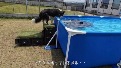 プールに入るのをためらうメルちゃん