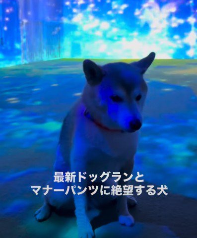 絶望している…!!