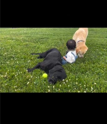 座る犬と赤ちゃん