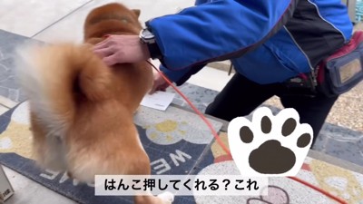 「はんこ押してね」