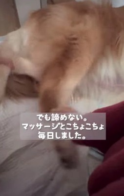 足のマッサージが日課に