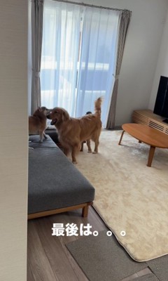 「僕は悪くない！」