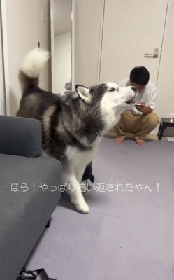 文句を言うケールくん