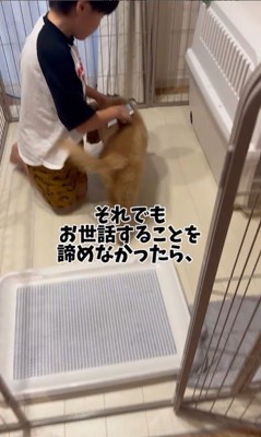 もなかちゃんとの1年間の軌跡4