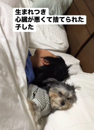 息子さんと仲良しに