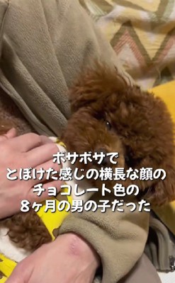 バックヤードに移動されていた