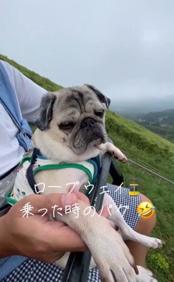 リフトに乗るデビちゃん4