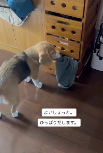 自分の服を取り出して…