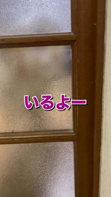 犬に返事をする飼い主