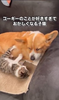 「今は寝かせてよ…」
