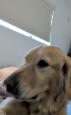 手を追いかけて