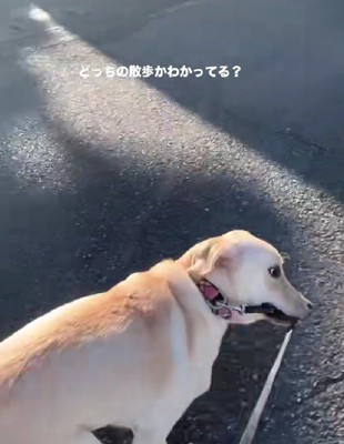 止まらない…！！