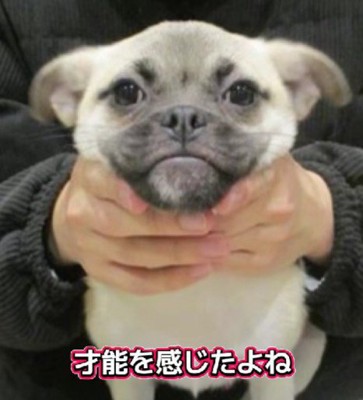 「人生何週目？」