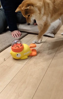 オヤツが出るおもちゃで遊ぶすずちゃん9